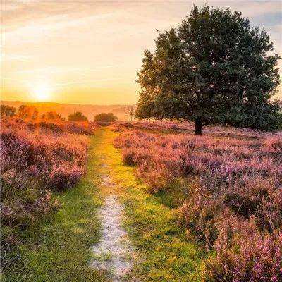 乐鱼体育下载手机版